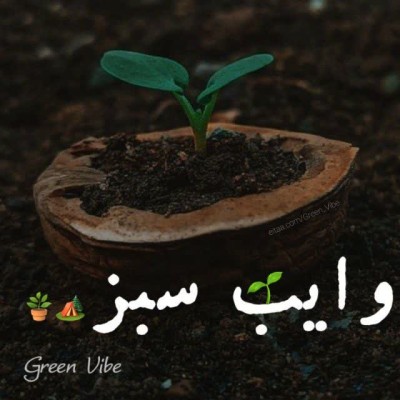 کانال ایتا وایب سبز
