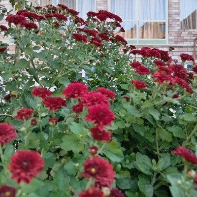 کانال ایتا طبیعت زیبای خونه ی ما کانال ایتا طبیعت زیبای خونه ی ما