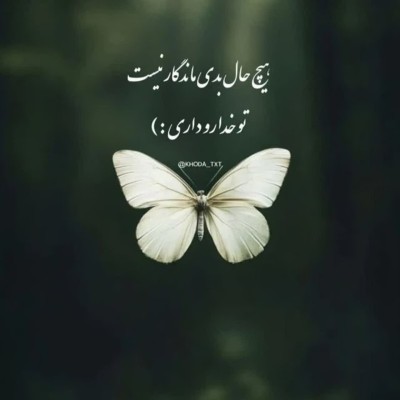 کانال ایتا زندگی از نگاه زهرا کانال ایتا زندگی از نگاه زهرا