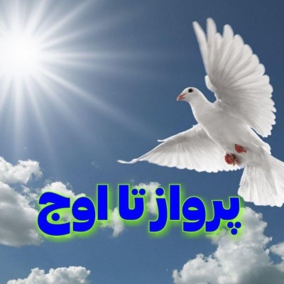 کانال سروش پلاس پرواز تا اوج کانال سروش پلاس پرواز تا اوج