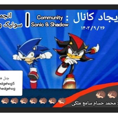 کانال بله انجمن سونیک و شدو | Community Sonic & Shadow 🦔