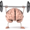 کانال واتساپ 🧠ذهن برتر🧠