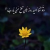 کانال روبیکا کلیپ عاشقانه♥️clip_asheghane26