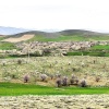 کانال روبیکا روستای چفدر