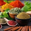 کانال ایتا ادویه جات ثنا